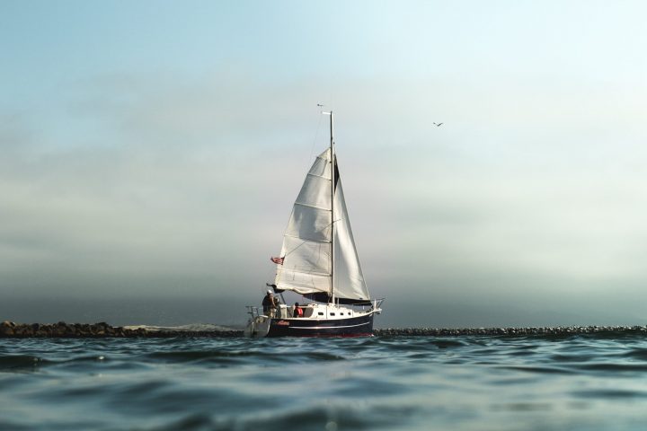 Caught in the harbor of Morro Bay. They sailed out to the end of the bay and turned right back around.