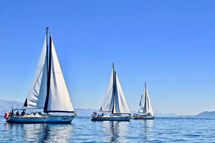 What do sailboats look like