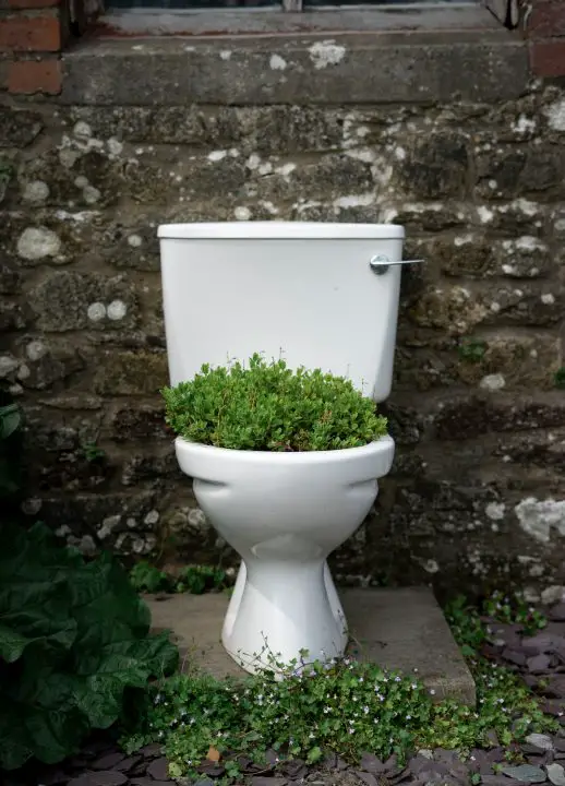 marine composting toilet