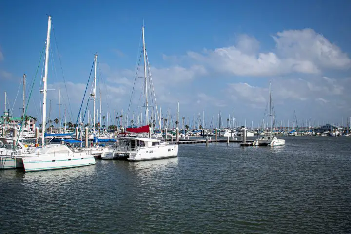 small catamaran boat