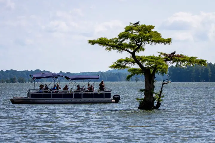 pontoon boats