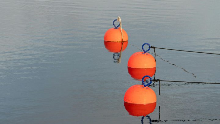 what colors appear on a mooring buoy